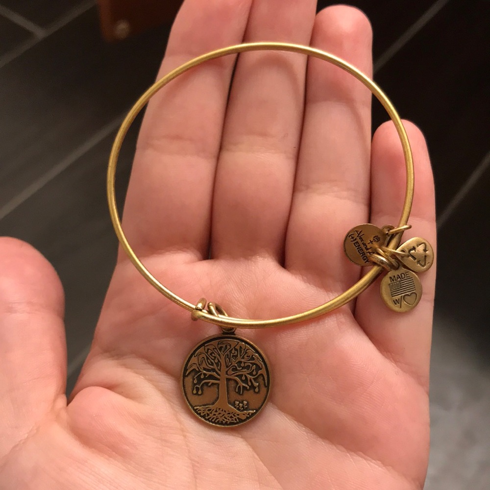 Alex & Ani bracelet